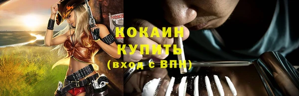 гашик Алзамай