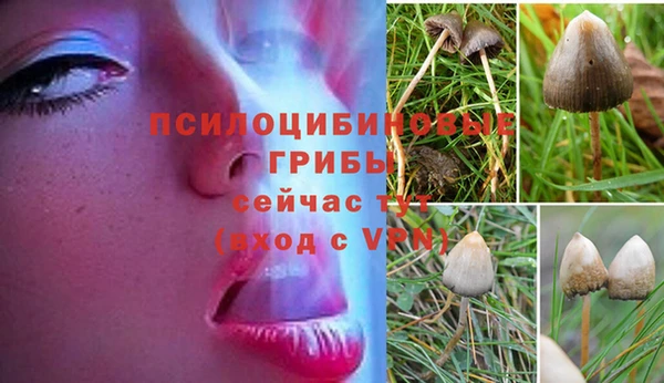 гашик Алзамай