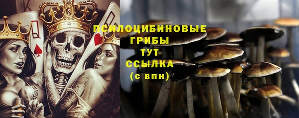 гашик Алзамай