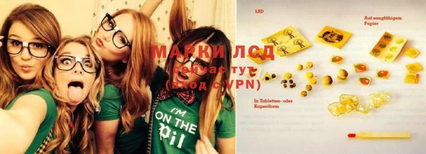 гашик Алзамай