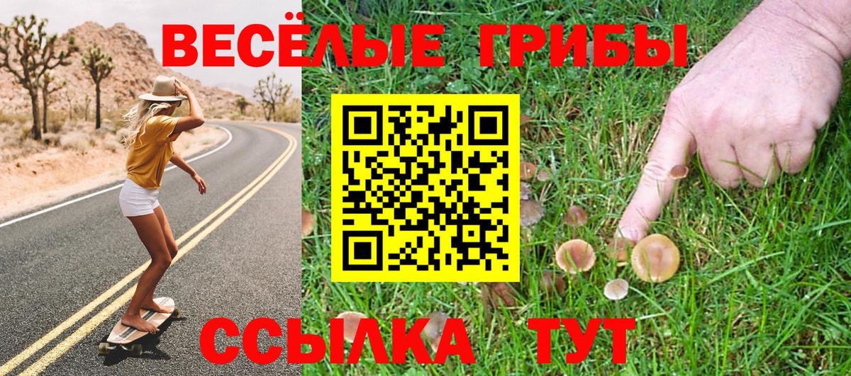 Псилоцибиновые грибы ЛСД  Вход с VPN  Борзя 