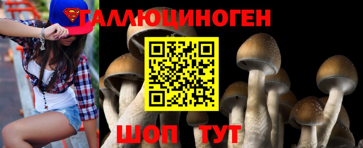 Псилоцибиновые грибы Psilocybe Борзя